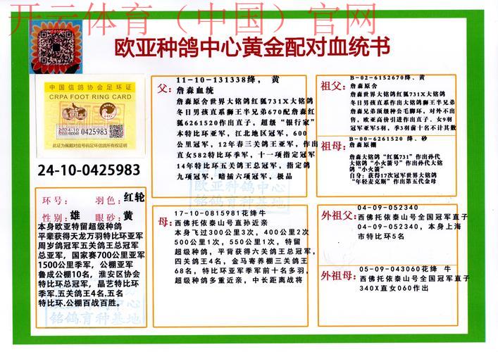 皇冠体育假网站, 皇冠体育假网站对用户信息安全的潜在威胁分析